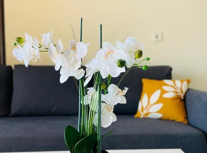 Apartment Golf Christina Albatros - Heated Pool San Miguel de Abona